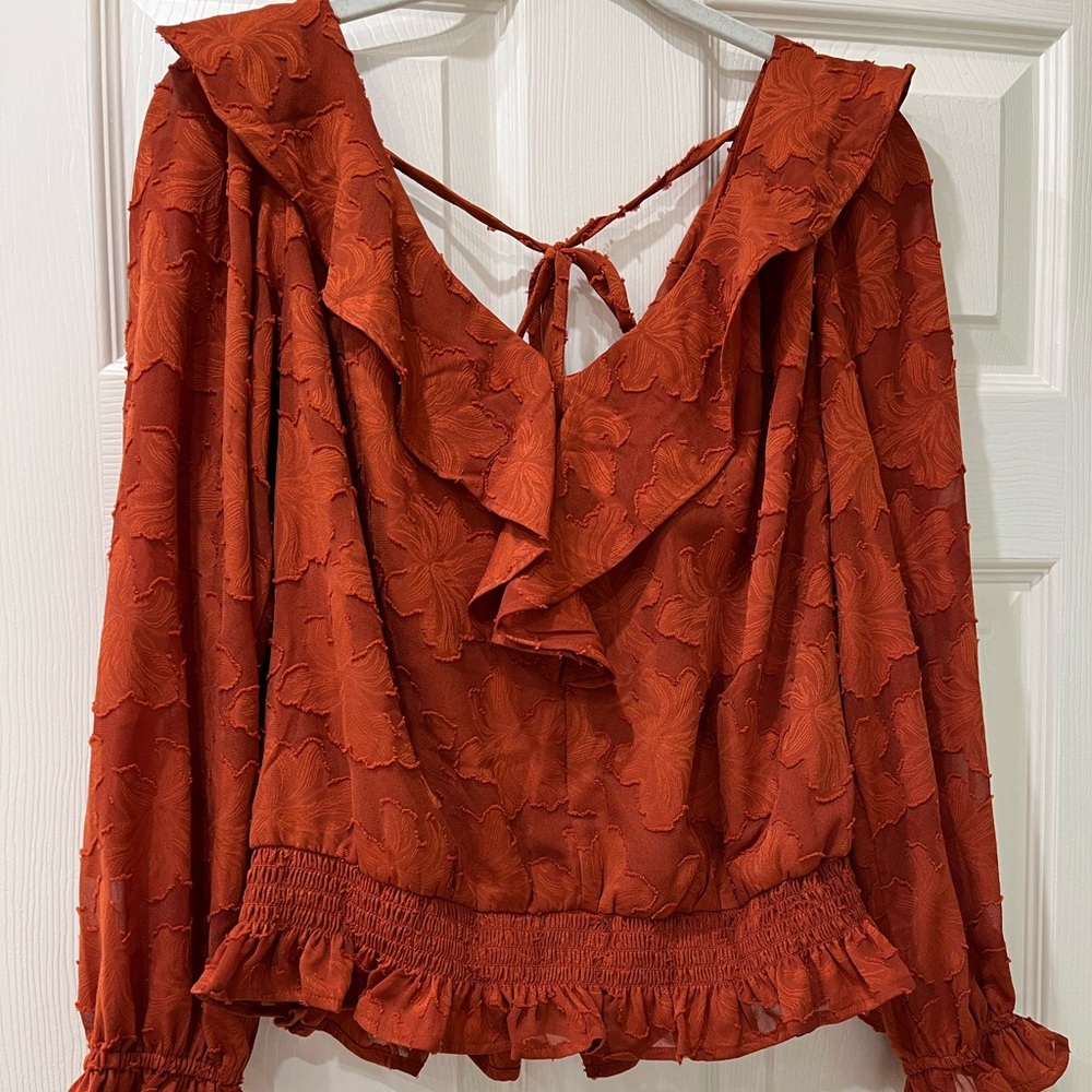 Beautiful Anthropologie top with gorgeous ruffle along the front and back.